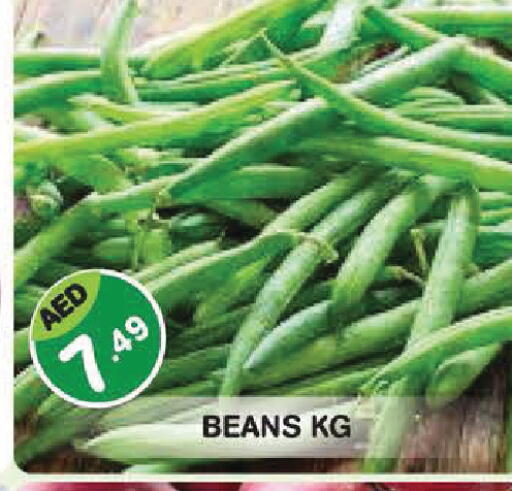 available at سنابل بني ياس in الإمارات العربية المتحدة , الامارات - أبو ظبي