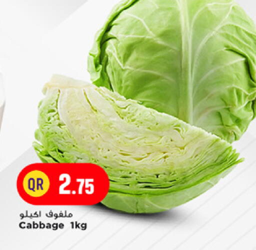 Cabbage available at مرزا هايبرماركت in قطر - الشمال