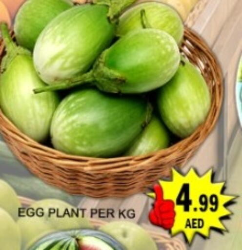 available at جرين جيفت متجر أقسام in الإمارات العربية المتحدة , الامارات - دبي