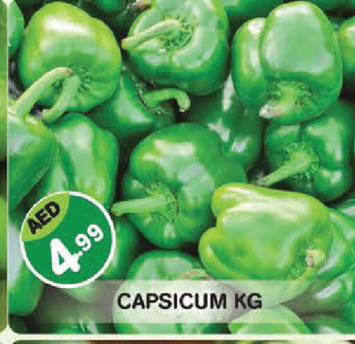 Capsicum available at سنابل بني ياس in الإمارات العربية المتحدة , الامارات - أبو ظبي