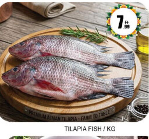available at لكي سنتر in الإمارات العربية المتحدة , الامارات - الشارقة / عجمان