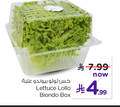Lettuce available at نستو in مملكة العربية السعودية, السعودية, سعودية - الخبر‎