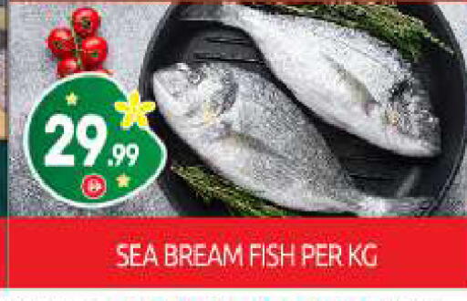 available at BIGmart in UAE - Abu Dhabi
