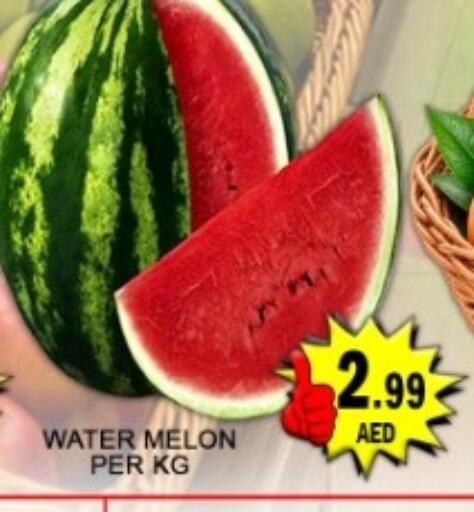 Melon available at جرين جيفت متجر أقسام in الإمارات العربية المتحدة , الامارات - دبي