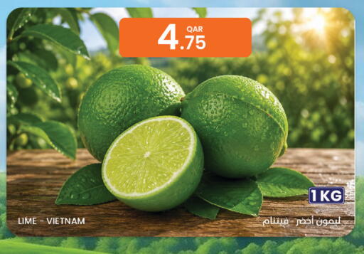 from Vietnam available at البلدي اليوم in قطر - الشمال