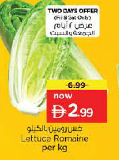 Lettuce available at نستو هايبرماركت in الإمارات العربية المتحدة , الامارات - أبو ظبي
