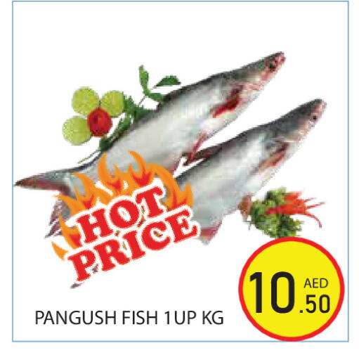 available at Baniyas Spike  in UAE - Ras al Khaimah