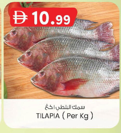 available at الصفا in الإمارات العربية المتحدة , الامارات - أبو ظبي