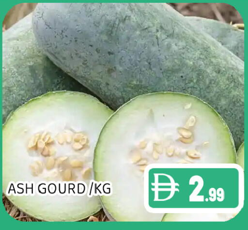 available at عين المدينة هايبرماركت in الإمارات العربية المتحدة , الامارات - الشارقة / عجمان