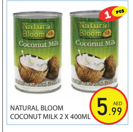 Coconut available at Baniyas Spike  in UAE - Ras al Khaimah