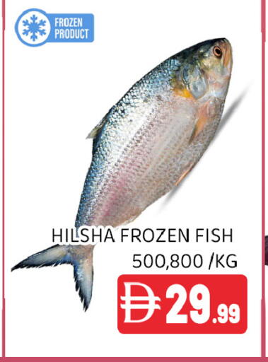 available at عين المدينة هايبرماركت in الإمارات العربية المتحدة , الامارات - الشارقة / عجمان