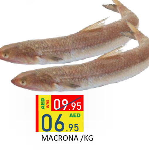 available at ROYAL GULF HYPERMARKET LLC in UAE - Abu Dhabi