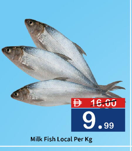 available at ROYAL GULF HYPERMARKET LLC in UAE - Abu Dhabi
