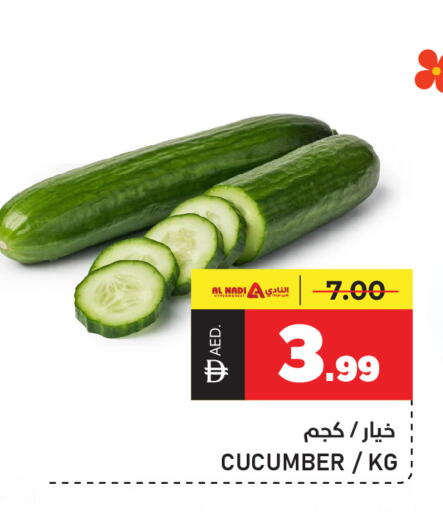 Cucumber available at النادي هايبرماركت in الإمارات العربية المتحدة , الامارات - الشارقة / عجمان