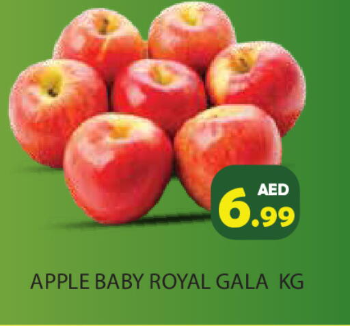 Apple available at Baniyas Spike  in UAE - Ras al Khaimah