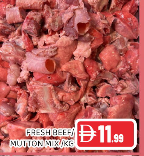 available at عين المدينة هايبرماركت in الإمارات العربية المتحدة , الامارات - الشارقة / عجمان