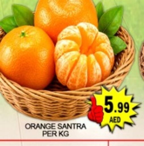 Orange available at جرين جيفت متجر أقسام in الإمارات العربية المتحدة , الامارات - دبي