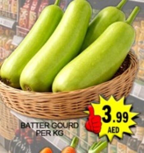 available at جرين جيفت متجر أقسام in الإمارات العربية المتحدة , الامارات - دبي