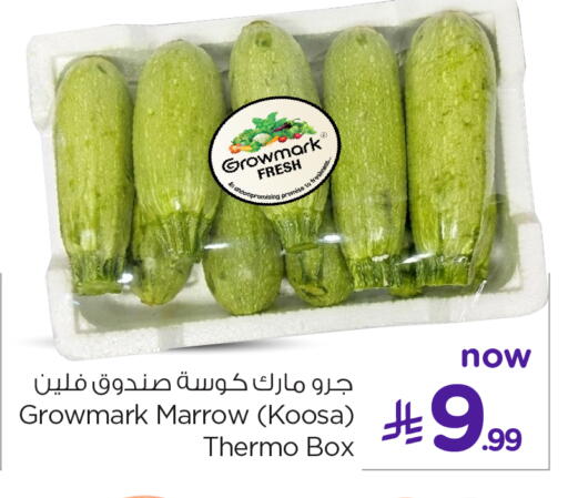 Marrow available at نستو in مملكة العربية السعودية, السعودية, سعودية - الخبر‎