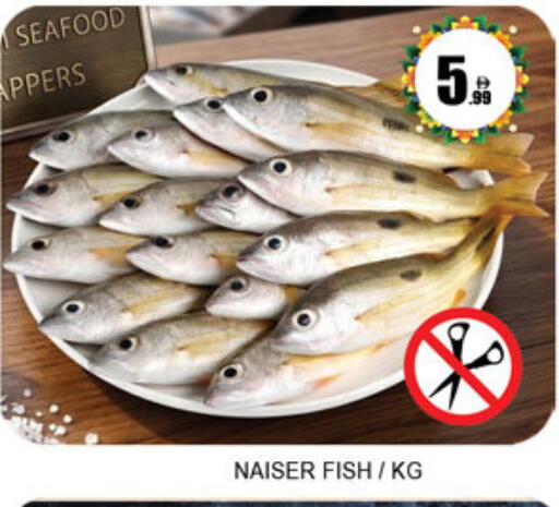 available at لكي سنتر in الإمارات العربية المتحدة , الامارات - الشارقة / عجمان