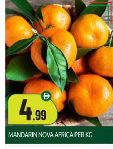 Mandarin available at BIGmart in UAE - Abu Dhabi