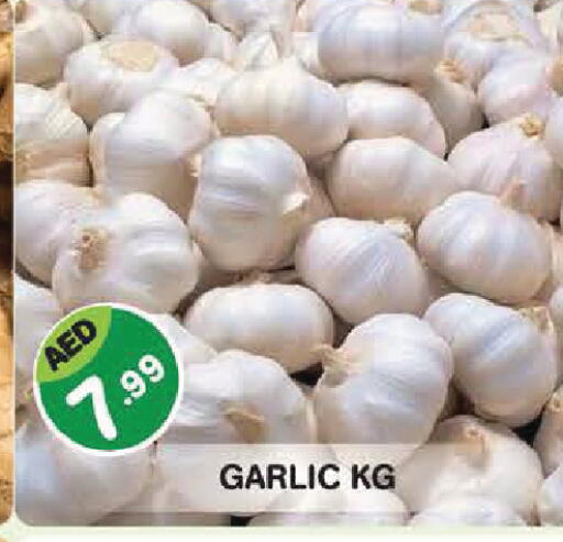 Garlic available at سنابل بني ياس in الإمارات العربية المتحدة , الامارات - أبو ظبي