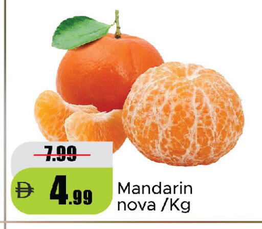 Mandarin available at الأسواق هايبرماركت in الإمارات العربية المتحدة , الامارات - رَأْس ٱلْخَيْمَة
