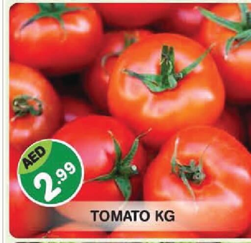 Tomato available at سنابل بني ياس in الإمارات العربية المتحدة , الامارات - أبو ظبي