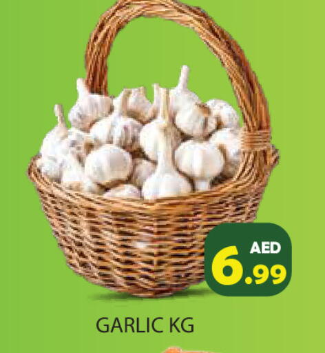 Garlic available at Baniyas Spike  in UAE - Ras al Khaimah