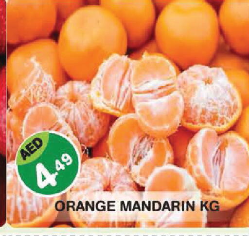 Orange Mandarin available at سنابل بني ياس in الإمارات العربية المتحدة , الامارات - أبو ظبي