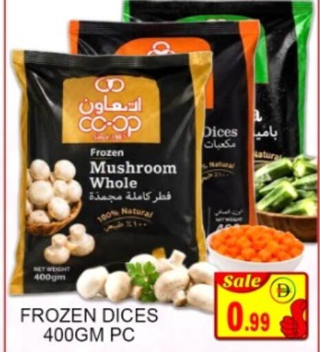 Mushroom available at جرين جيفت متجر أقسام in الإمارات العربية المتحدة , الامارات - دبي