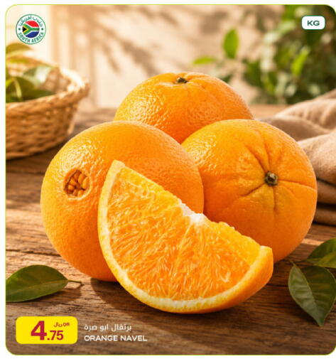 Orange from South Africa available at شركة الميرة للمواد الاستهلاكية in قطر - الدوحة