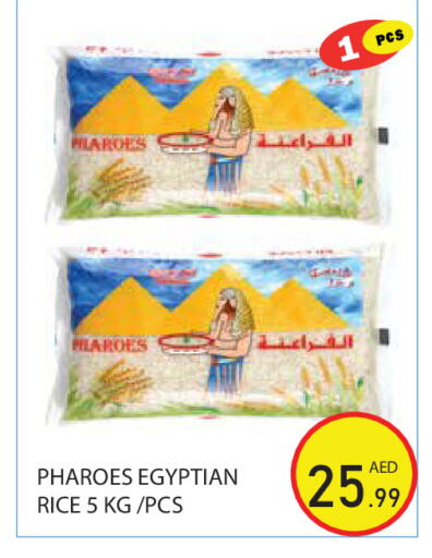 available at سنابل بني ياس in الإمارات العربية المتحدة , الامارات - أبو ظبي