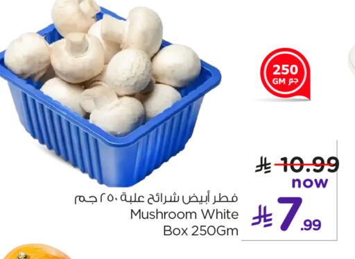 Mushroom available at نستو in مملكة العربية السعودية, السعودية, سعودية - الخرج