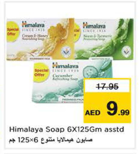 Cucumber available at نستو هايبرماركت in الإمارات العربية المتحدة , الامارات - الشارقة / عجمان