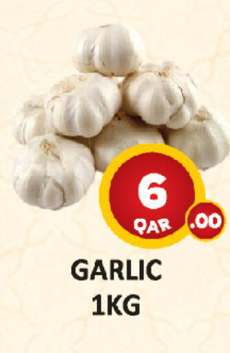 Garlic in قطر - الضعاين