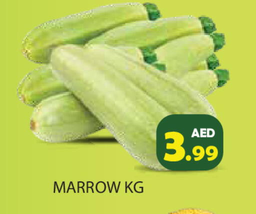 Marrow available at Baniyas Spike  in UAE - Ras al Khaimah