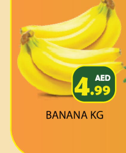 Banana available at Baniyas Spike  in UAE - Ras al Khaimah