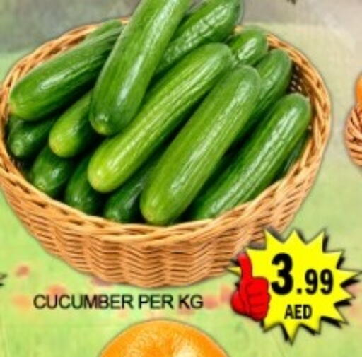Cucumber available at جرين جيفت متجر أقسام in الإمارات العربية المتحدة , الامارات - دبي