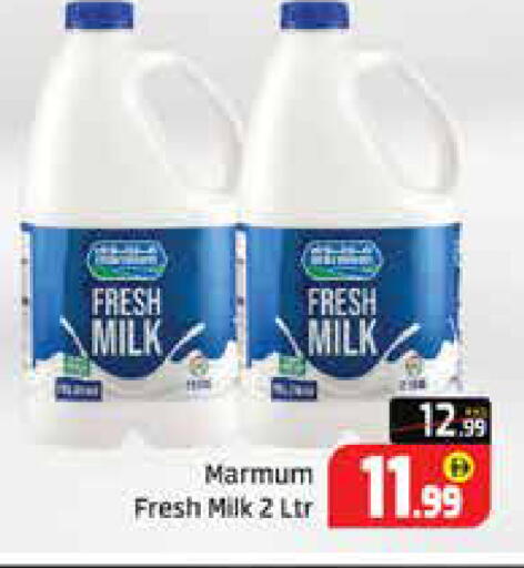Mango available at Mango Hypermarket LLC in UAE - Dubai