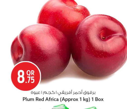 Plum available at سفاري هايبر ماركت in قطر - الشمال