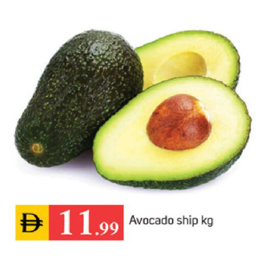 Avocado available at سوق طلال in الإمارات العربية المتحدة , الامارات - أبو ظبي
