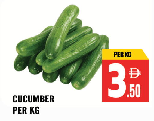 Cucumber available at Dream Land in UAE - Sharjah / Ajman