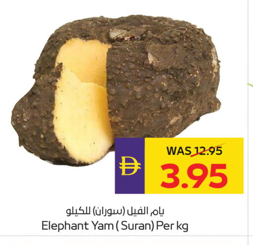 available at أدكووب in الإمارات العربية المتحدة , الامارات - ٱلْعَيْن‎