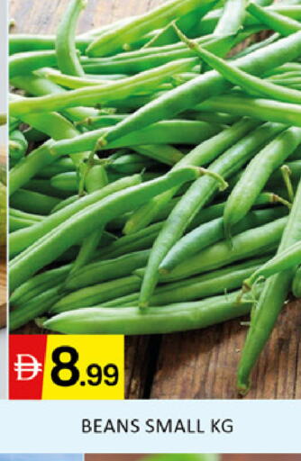 available at المدينة in الإمارات العربية المتحدة , الامارات - دبي