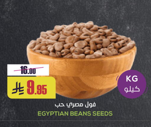 available at Sapt in KSA, Saudi Arabia, Saudi - Buraidah