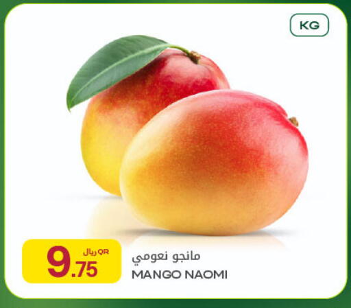 Mango available at شركة الميرة للمواد الاستهلاكية in قطر - الريان
