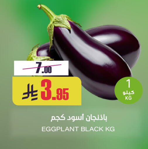 Eggplant available at Sapt in KSA, Saudi Arabia, Saudi - Buraidah