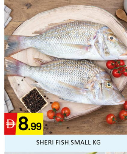 available at المدينة in الإمارات العربية المتحدة , الامارات - دبي