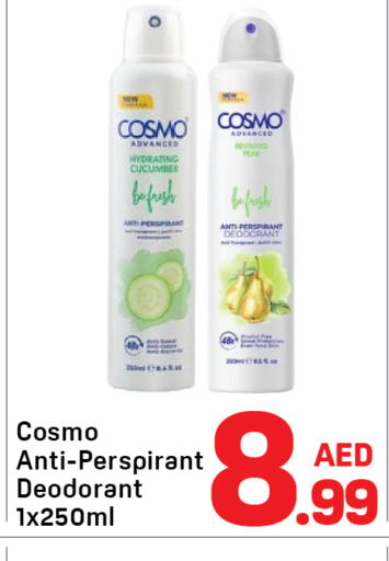 Pear Cucumber available at Day to Day Department Store in UAE - Sharjah / Ajman